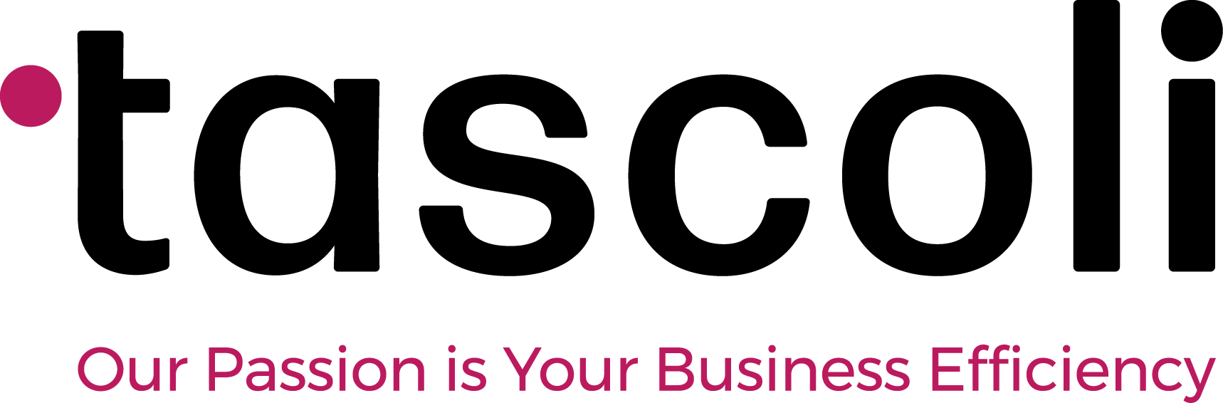 The Accounting System Co Ltd