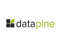 datapine