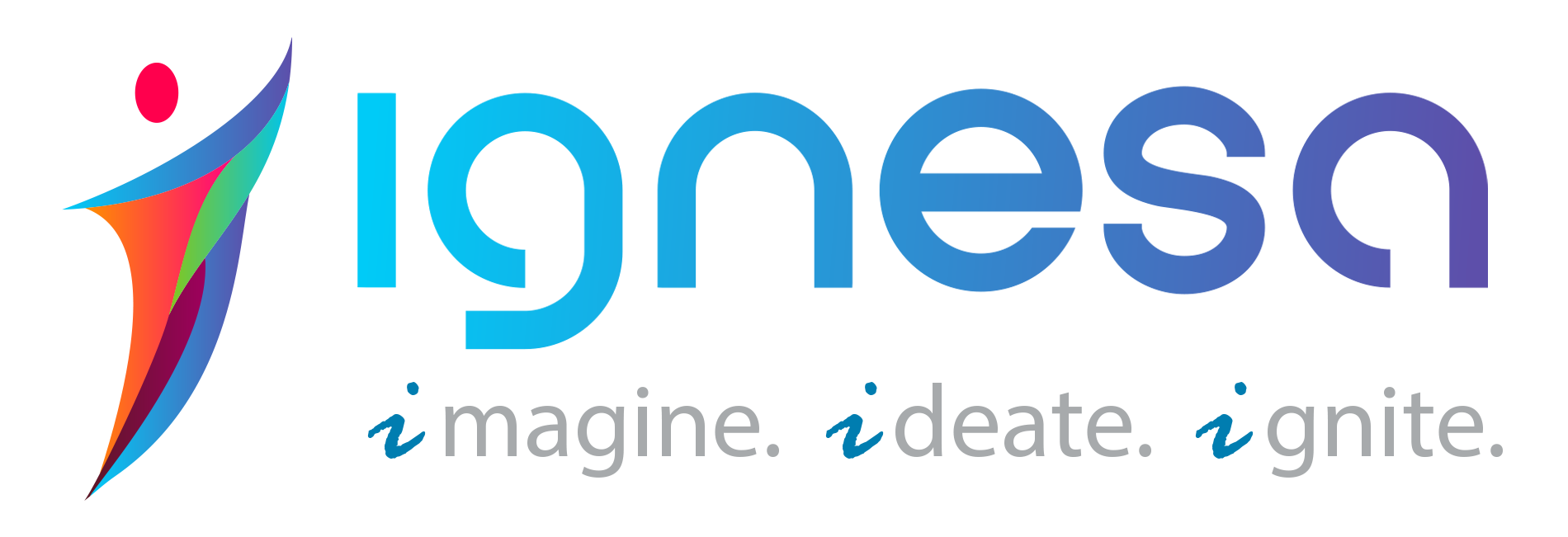 IGNESA IT Infrastructure