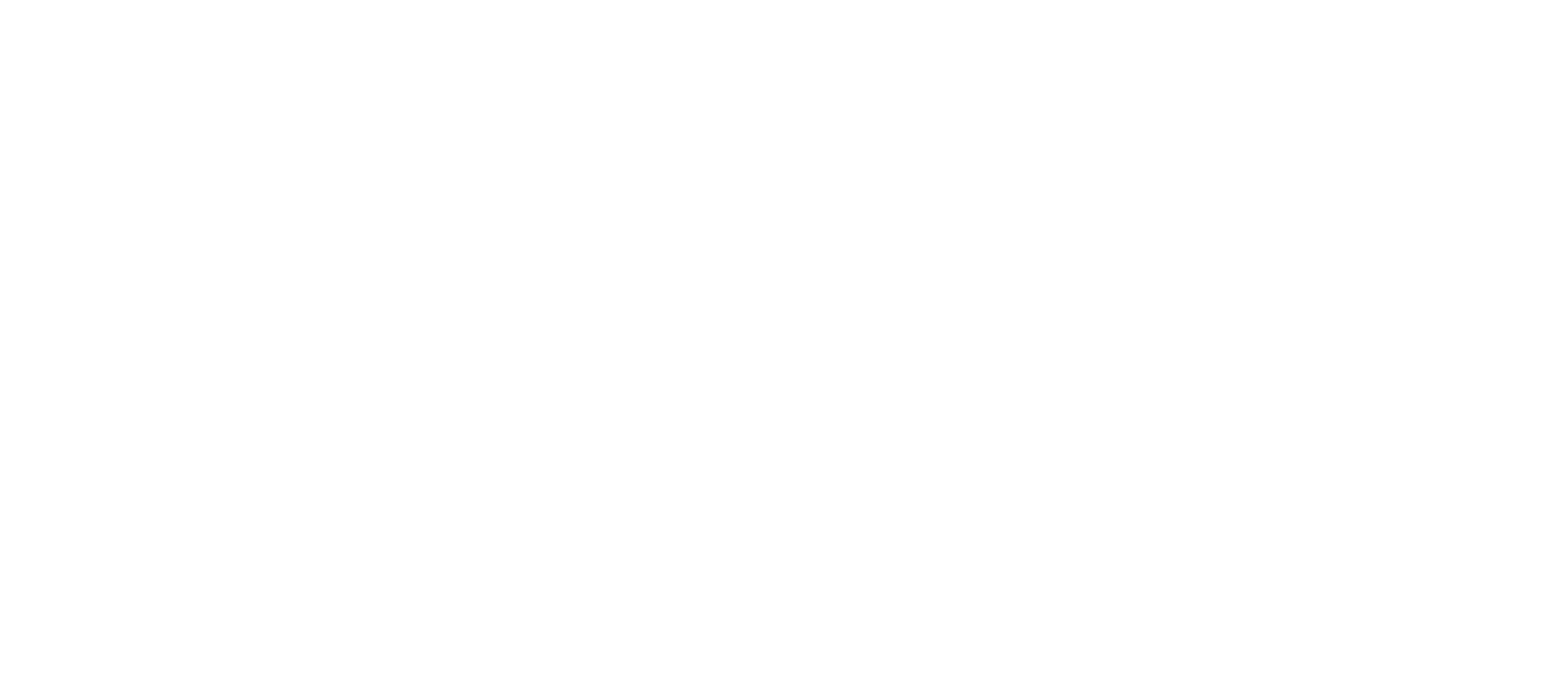 Steller Technologies