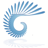 Profound Project Control Solutions Pty Ltd