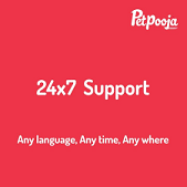 Petpooja Prayohsa food services Pvtltd