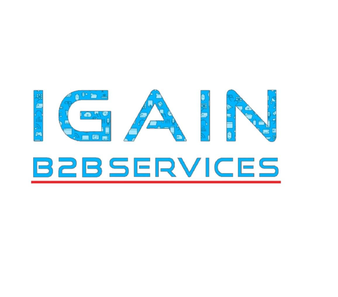 IGAIN B2B SERVICES PRIVATE LIMITED 