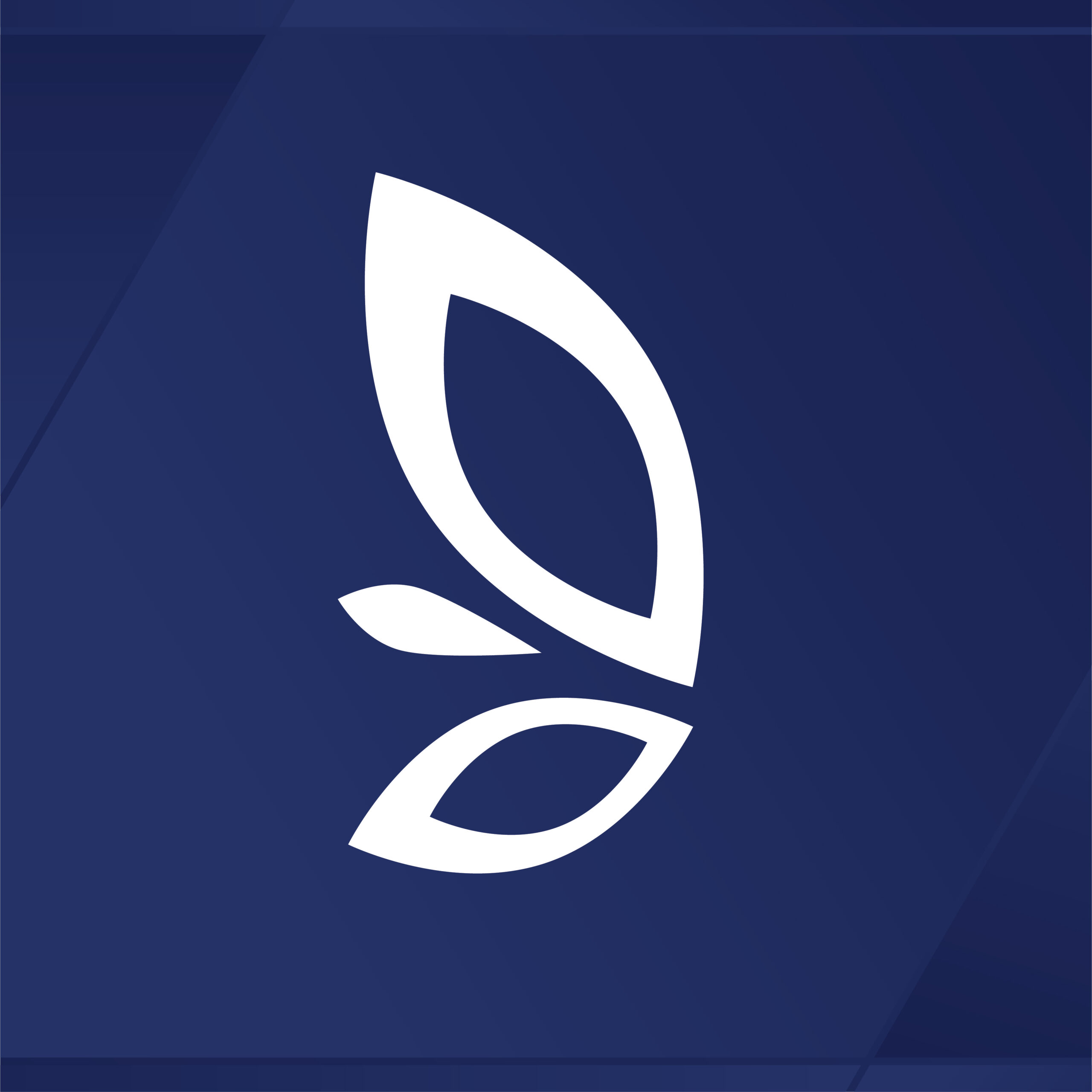 R3 Consulting Limited