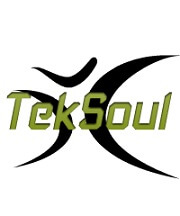 Wiley Workers LLC TekSoul