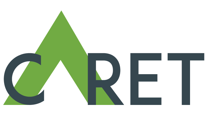 Caret IT Solutions Private Limited