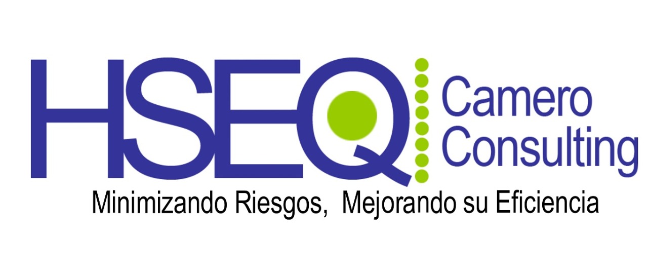 HSEQ Camero Consulting 