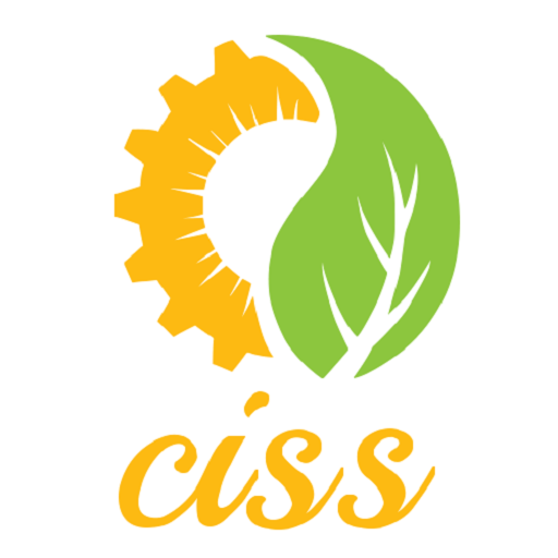 CyberImpulseSoftwareSolutions