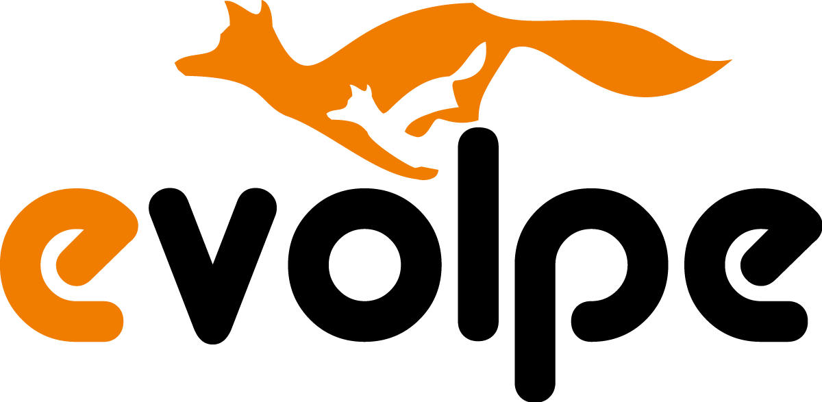 eVolpe Consulting Group